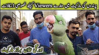 Birds Market ORANGI TOWN Sunday Video 10122023 Latest Update In Urdu amp Hindi By Get Birds Info [upl. by Nihsfa]