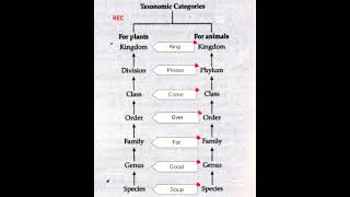 Neet biology 720 taxonomic category [upl. by Llerruj]