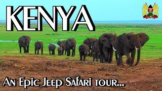 KENYA  Jeep Safari Tour  Wildlife in Africa [upl. by Orten]