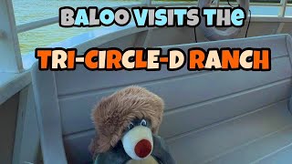 Baloo takes a trip to Disney’s TriCircleD Ranch  Fort Wilderness  Walt Disney World [upl. by Esserac]