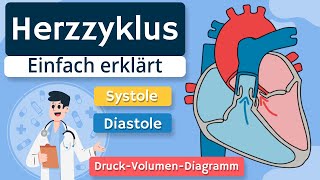 Herzzyklus  Systole Diastole und DruckVolumenDiagramm einfach erklärt [upl. by Aisya213]