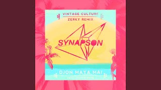 Djon maya maï feat Victor Démé Vintage Culture and Zerky Remix [upl. by Nerw]