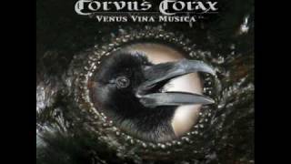 Corvus Corax  Katrinka [upl. by Charron]