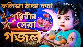 কলিজা ঠান্ডা করা সুরে পৃথিবীর সেরা গজল। New 2023 Bangla Gojol  SelimShikhon 2025 [upl. by Wurtz]