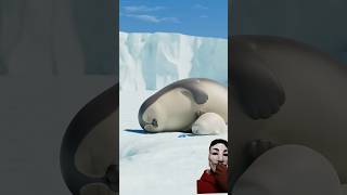 animation babyseal seal penguin cute sealking animals sealy panda sealife [upl. by Aonehc490]