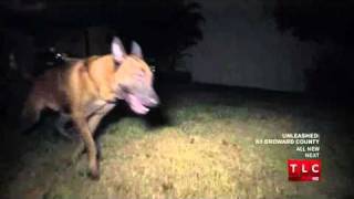 Unleashed K9 Broward County S01 E01 Parte 1 [upl. by Noy]