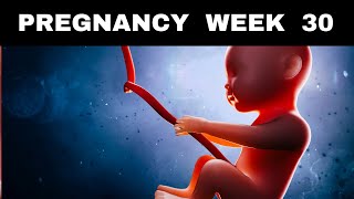 Pregnancy Week 30 Baby Development Symptoms amp Tips [upl. by Ecertap15]