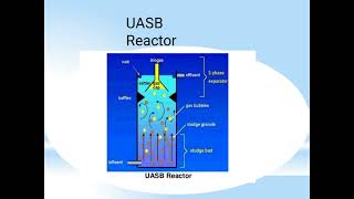 UASB REACTOR [upl. by Bokaj]