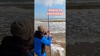 La Regina in cannaaaa🤩🎣🎣pescainmare mare fishing pescare surfcasting [upl. by Khudari377]