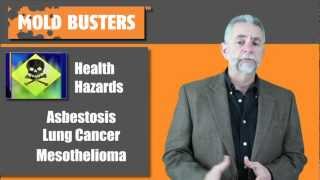 What to Do If You Find Asbestos [upl. by Ahsenar]