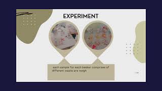 WSDG24 MYCELIA BIO P 1 [upl. by Eyaf]