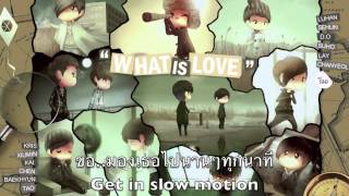 Exo  What is love Cover Thai female version [upl. by Menard]