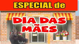 Calopsitas  Especial de DIA DAS MÃES  TENTE NÃO RIR  MEMES [upl. by Sivrep]