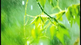 10 Minutes of relaxing rain sounds for Meditation Ideal for Beginners [upl. by Gnud15]