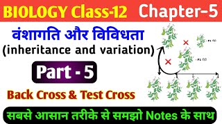 Biology class 12 ch 5  inheritance and variation  back cross test cross  test cross and backcross [upl. by Eerazed934]