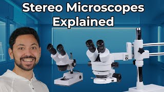 What is a Stereomicroscope Explained [upl. by Sices]