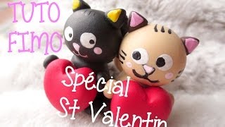 ღTuto Spécial St Valentin  Chats amoureux ღ [upl. by Bonns]