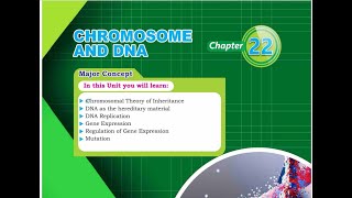 Chromosome and DNA part 1 [upl. by Ardnovahs]