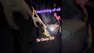 Drenching of oil [upl. by Butterfield]