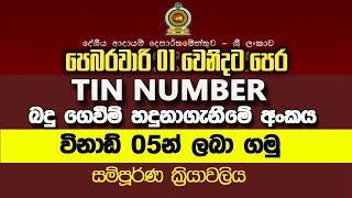 TIN number registration online  How to Register for TIN Sinhala Tax Identification Number 🇱🇰 tin [upl. by Nasus]