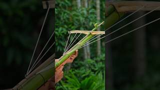 Bamboo creations with three archer and bamboo Bamboo Slingshots Bambooart Diy [upl. by Eenyaj]