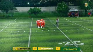 HORMIGAS ORO VS JAGUARES [upl. by Copland]