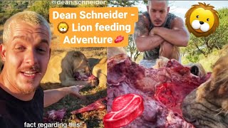 Dean Schneider  🦁 Lion Feeding Adventure🥩 [upl. by Kauffmann]