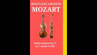 mozart 모차르트 k296 Violin Sonata No17 in C major [upl. by Ladnor]