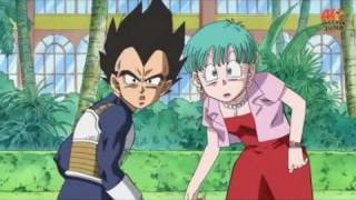 ☆ Vegeta y Bulma ☆  Discusión marital [upl. by Aisek]