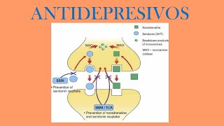 ANTIDEPRESIVOS CLASIFICACIÓN MECANISMOS DE ACCIÓN FARMACOLOGÍA [upl. by Aneelak]