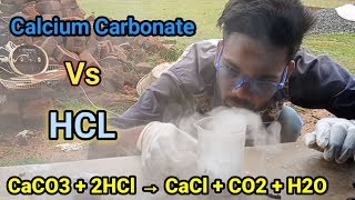 Reaction of calcium carbonate with hydrochloric acid  reaction of HCL  The hacker Pro [upl. by Maia]