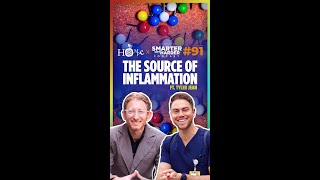 The Source of Inflammation smarternotharder inflammation [upl. by Alwin634]