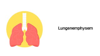 Lungenemphysem  Erkrankungen der Atemwege [upl. by Rector493]