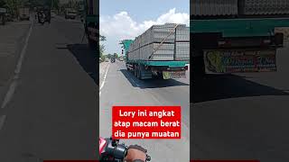 Lory ini sampai bunyi kreket kreket [upl. by Belmonte]