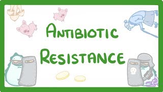 GCSE Biology  What is Antibiotic Resistance Why Antibiotic Resistance is a HUGE issue 81 [upl. by Nathanil]