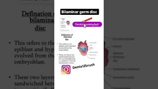 bilaminar layer germ disc dentalmasteryhub dentalstudenteducation dentist youtubeshorts [upl. by Eanert547]