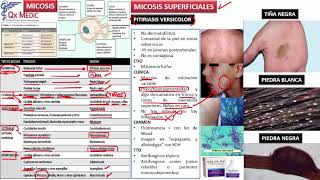 2 MICOSIS SUPERFICIALES Y CUTANEAS [upl. by Mayes210]