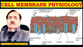 Human CELL Membrane PHYSIOLOGY Lectures by Dr Alamzeb [upl. by Ahter198]