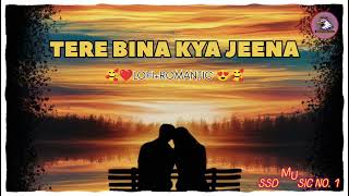 TERE BINA KYA JEENA  Latest Bollywood Song  lofi mashup  bollywood songs  new song [upl. by Naenej]