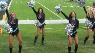 Carolina Panthers TopCats 12113 [upl. by Lurette]