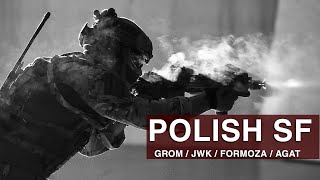 Polish Special Forces quotFor you Fatherlandquot [upl. by Cocke]