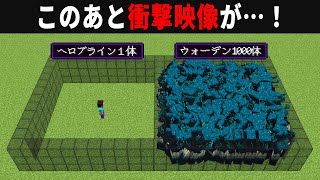 【海外検証】謎が多すぎるマインクラフト10選【ゆっくり実況】【マイクラ】 [upl. by Ibot436]