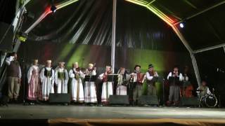 Lithuanian folk song Ažuolėlis [upl. by Attenej866]