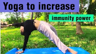 Yoga to increase immunity power  रोग प्रतिरोधक शक्ति कैसे बढ़ाये  Yoga for immunity power [upl. by Lepper]