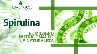 Spirulina El Milagro Nutricional de la Naturaleza [upl. by Yrbua183]