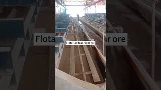 FluorsparFluorite Ore Beneficiation Plant Ball Mill Spiral Classifier Flotation Machine [upl. by Catarina]