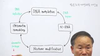 24Chromatin remodeling  Histone modificationChromatin packagehetero Chromatin eu Chromatin [upl. by Gawain]