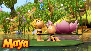 MAYA y WILLY SE VAN DE EXCURSIÓN🌞🐝🌿 MEJORES CAPÍTULOS DE MAYA para niños en ESPAÑOL 🐝 [upl. by Wina249]