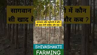 सागवान और महोगनी में कौन सी खाद देनी चाहिए  agriculture kisan organic fertilizer shivashakti [upl. by Ardnalac]