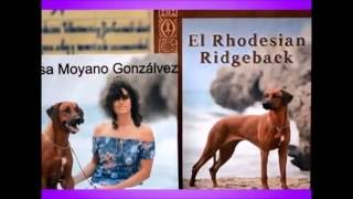 Entrevista a Rhodesian Ridgeback México [upl. by Ri]